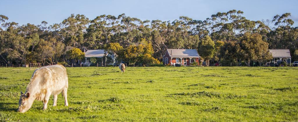 Freshwater Creek Cottages & Farm Stay Торки Экстерьер фото